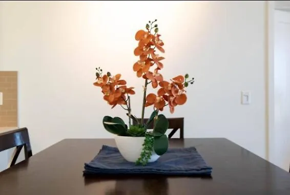 Ocean View Apartment In Marina Del Rey Near Venice Beach Los Angeles
